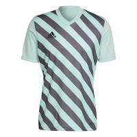 adidas Entrada 22 Graphic Maillot d'Entraînement Vert Clair Gris