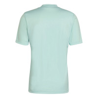 adidas Entrada 22 Graphic Maillot d'Entraînement Vert Clair Gris