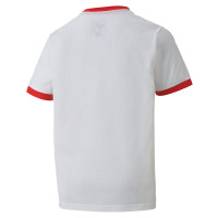 PUMA teamGOAL 23 Voetbalshirt Kids Wit Rood
