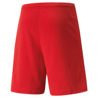 NSV 46 Thuisshort Senior