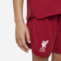 Nike Liverpool Minikit Thuis 2022-2023 Kids (Kleuters)