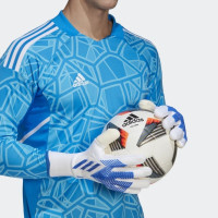 adidas Predator Keepershandschoenen Pro Wit Blauw