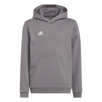 adidas Entrada 22 Sweat Sweat à Capuche Enfants Gris Blanc
