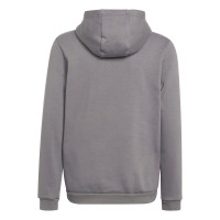 adidas Entrada 22 Sweat Sweat à Capuche Enfants Gris Blanc