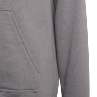 adidas Entrada 22 Sweat Sweat à Capuche Enfants Gris Blanc