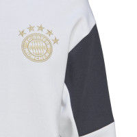 adidas Bayern Munich Travel Hoodie Survêtement Sweat-Shirt à Capuche Blanc Gris Foncé Doré