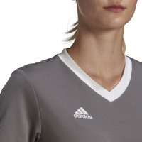 adidas Entrada 22 Maillot de Foot Femmes Gris Blanc