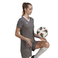 adidas Entrada 22 Maillot de Foot Femmes Gris Blanc