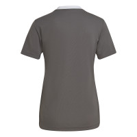 adidas Entrada 22 Maillot de Foot Femmes Gris Blanc