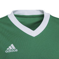 adidas Entrada 22 Voetbalshirt Kids Groen Wit