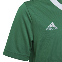adidas Entrada 22 Voetbalshirt Kids Groen Wit