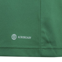 adidas Entrada 22 Voetbalshirt Kids Groen Wit