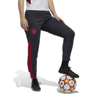adidas Bayern Munich Pantalon d'Entraînement 2022-2023 Femmes Gris