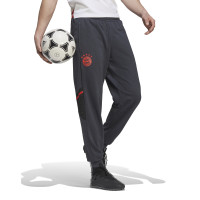 Pantalon d'entraînement Adidas Bayern Munich 2022-2023 Gris