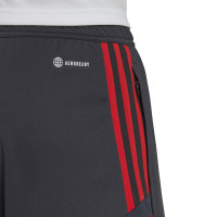 Short d'Entraînement Adidas Bayern Munich 2022-2023 Gris