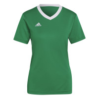 adidas Entrada 22 Maillot de Foot Femmes Vert Blanc