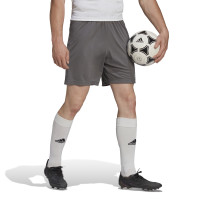 adidas Entrada 22 Voetbalbroekje Grijs Wit