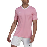 adidas Entrada 22 Voetbalshirt Roze Wit