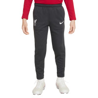 Nike Liverpool Academy Pro Pantalon d'Entraînement 2022-2023 Enfants Tout-Petits Noir Gris