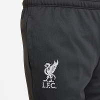 Nike Liverpool Academy Pro Pantalon d'Entraînement 2022-2023 Enfants Tout-Petits Noir Gris