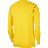 Nike Dri-FIT Park 20 Crew Trainingstrui Geel Zwart