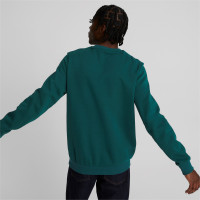 PUMA Essentials Big Logo Fleece Sweat-Shirt Vert Foncé