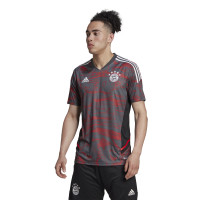 Kit d'entraînement adidas Bayern Munich Europe 2022-2023 Gris Rouge