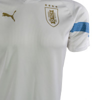 PUMA Uruguay Trainingsshirt 2022-2024 Zilver Blauw