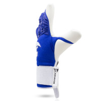 Gladiator Sports Stewi Keepershandschoenen Blauw Wit