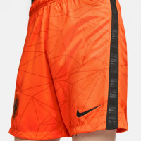 Nike Pays-Bas Domicile Short de Football 2020-2022