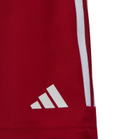 adidas Tiro 23 Competition Voetbalbroekje Kids Rood Wit