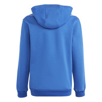 adidas Tiro 23 League Sweat Hoodie Kids Blauw
