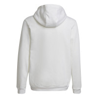 adidas Entrada 22 Sweat Hoodie Kids Wit Zwart