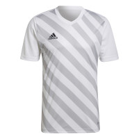 adidas Entrada 22 Graphic Voetbalshirt Wit Grijs