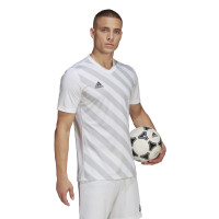 adidas Entrada 22 Graphic Voetbalshirt Wit Grijs