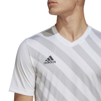 adidas Entrada 22 Graphic Voetbalshirt Wit Grijs