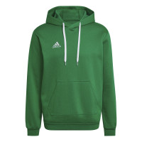 adidas Entrada 22 Sweat Hoodie Groen