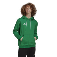 adidas Entrada 22 Sweat Hoodie Groen