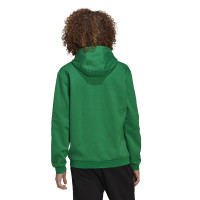 adidas Entrada 22 Sweat Hoodie Groen