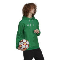 adidas Entrada 22 Sweat Hoodie Groen