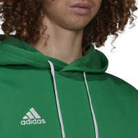 adidas Entrada 22 Sweat Hoodie Groen