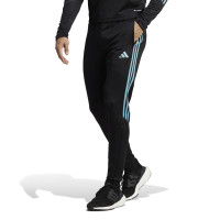 adidas Tiro 23 Club Trainingsbroek Zwart Blauw