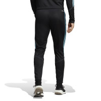 adidas Tiro 23 Club Trainingsbroek Zwart Blauw