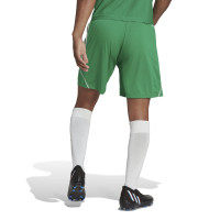 adidas Tiro 23 League Broekje Groen Wit
