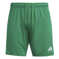 adidas Tiro 23 League Broekje Groen Wit