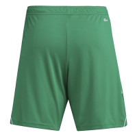 adidas Tiro 23 League Broekje Groen Wit