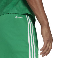 adidas Tiro 23 League Broekje Groen Wit
