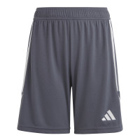 adidas Tiro 23 League Broekje Kids Grijs Wit