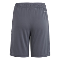 adidas Tiro 23 League Broekje Kids Grijs Wit