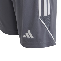 adidas Tiro 23 League Broekje Kids Grijs Wit